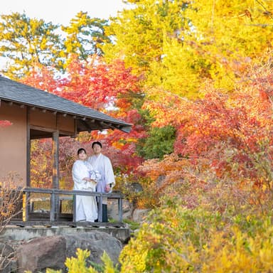 【11月までの撮影がオススメ】秋の紅葉フォトプラン